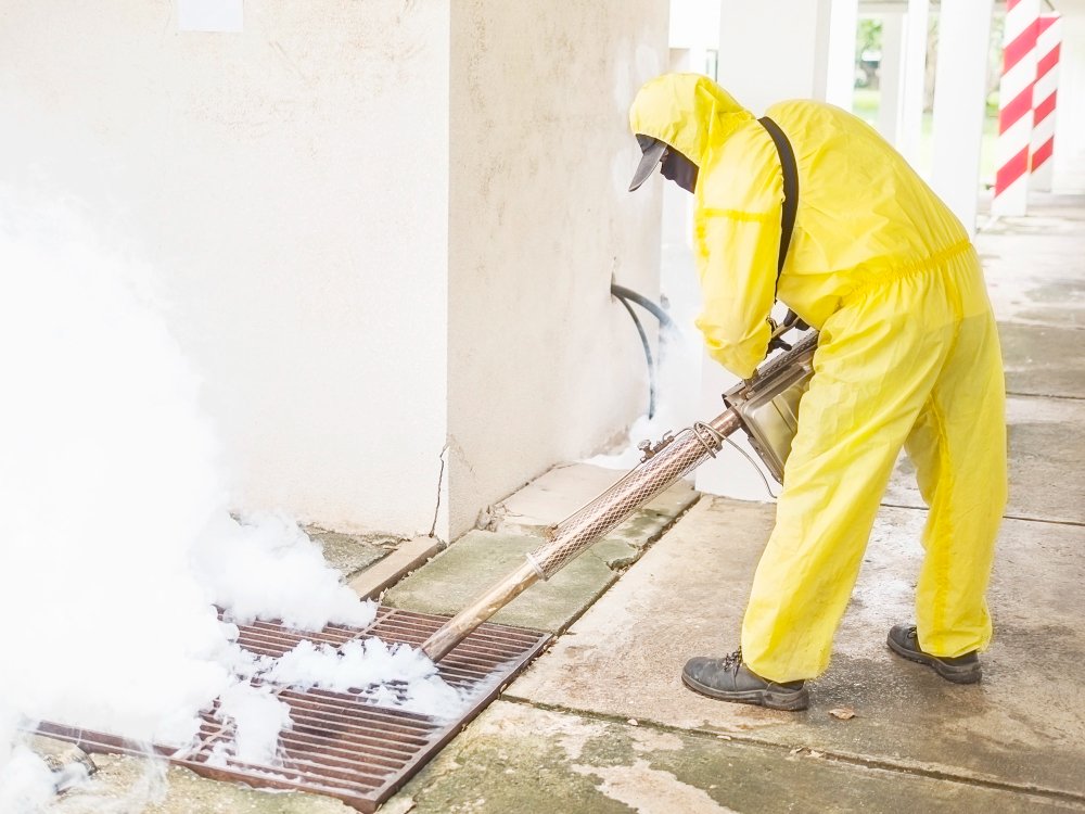 mold removal experts dubai