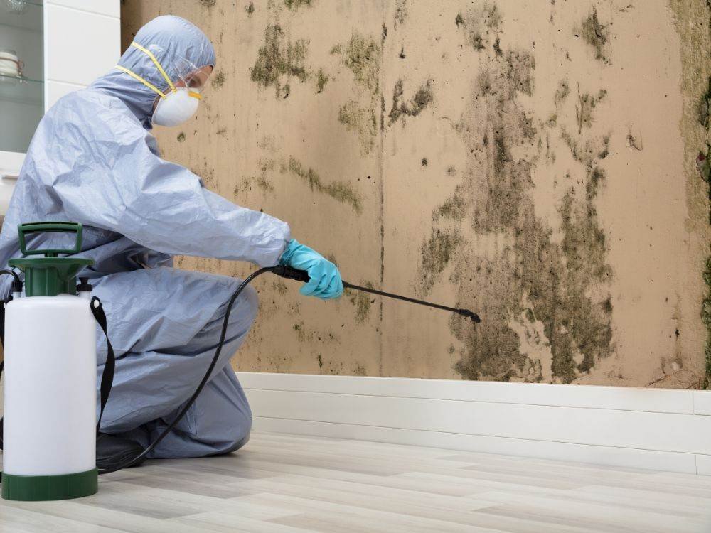 Mold Inspection in Dubai UAE
