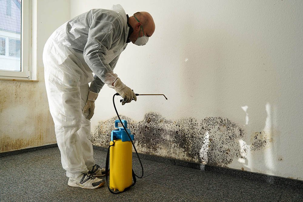 Mold Inspection in Dubai UAE