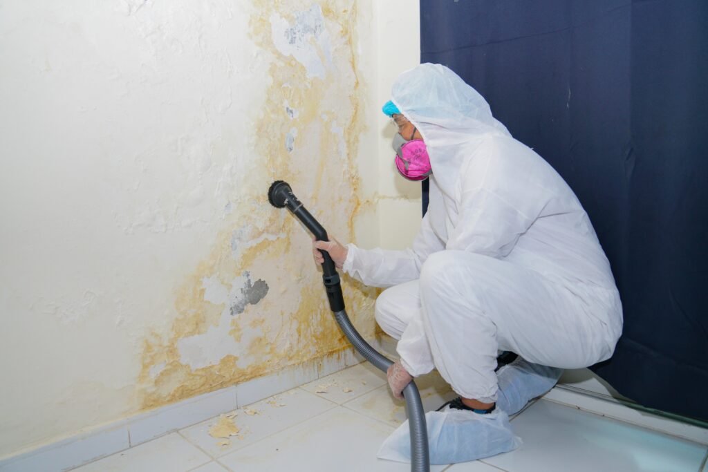 Mold Inspection in Dubai UAE